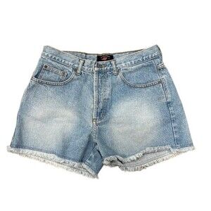 Vintage American Eagle lightwash button fly denim shorts